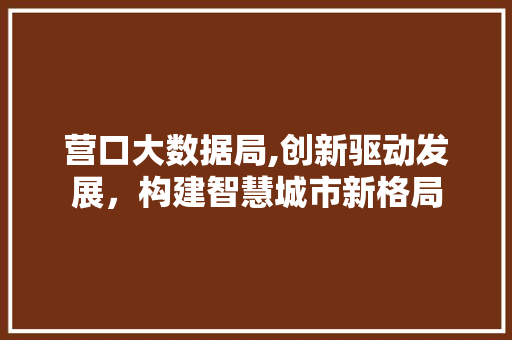 营口大数据局,创新驱动发展，构建智慧城市新格局