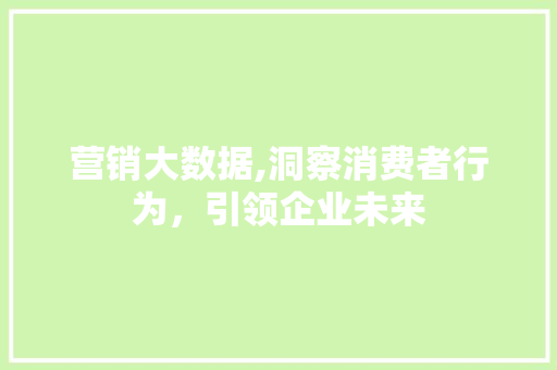 营销大数据,洞察消费者行为，引领企业未来