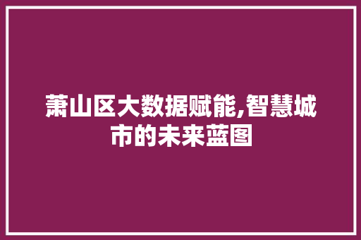萧山区大数据赋能,智慧城市的未来蓝图