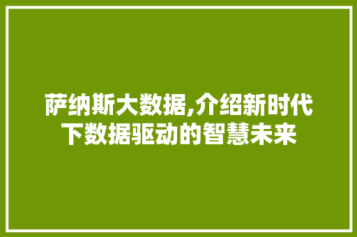 萨纳斯大数据,介绍新时代下数据驱动的智慧未来 小程序开发