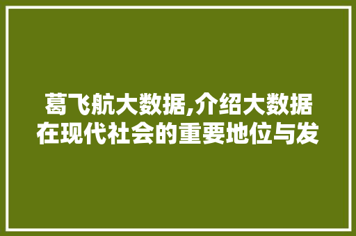 葛飞航大数据,介绍大数据在现代社会的重要地位与发展趋势