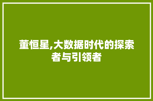 董恒星,大数据时代的探索者与引领者 头条优化