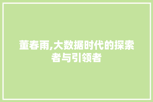 董春雨,大数据时代的探索者与引领者