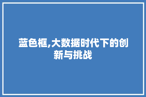 蓝色框,大数据时代下的创新与挑战