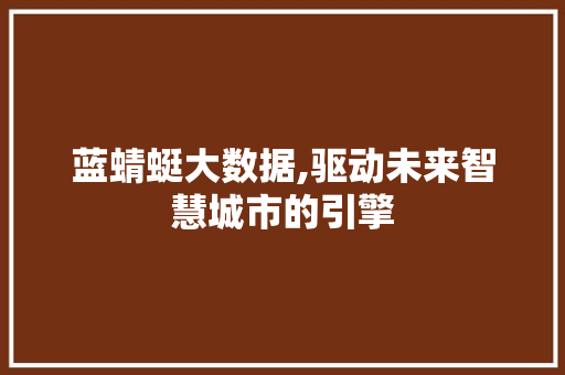 蓝蜻蜓大数据,驱动未来智慧城市的引擎