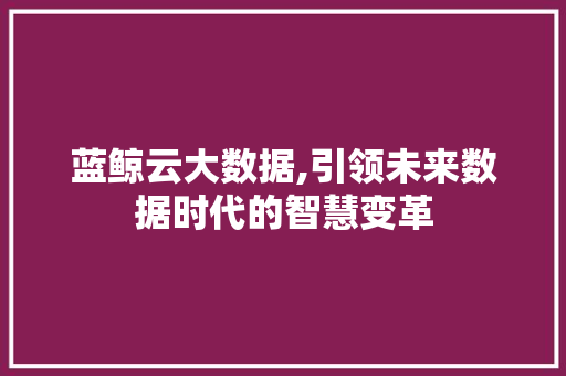 蓝鲸云大数据,引领未来数据时代的智慧变革 seo技术