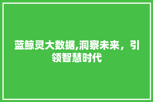 蓝鲸灵大数据,洞察未来，引领智慧时代