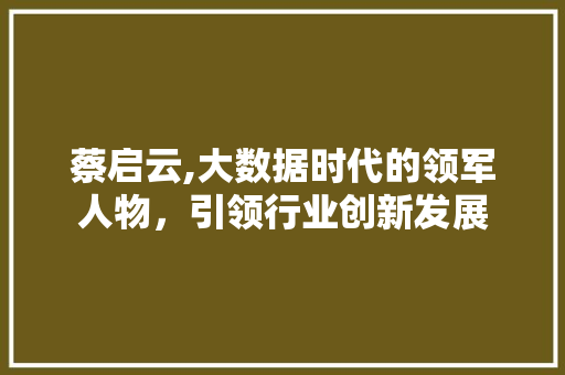 蔡启云,大数据时代的领军人物，引领行业创新发展