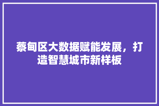 蔡甸区大数据赋能发展，打造智慧城市新样板
