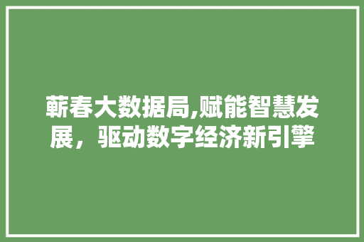 蕲春大数据局,赋能智慧发展，驱动数字经济新引擎