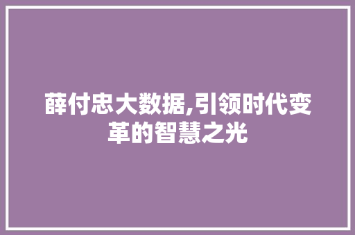 薛付忠大数据,引领时代变革的智慧之光