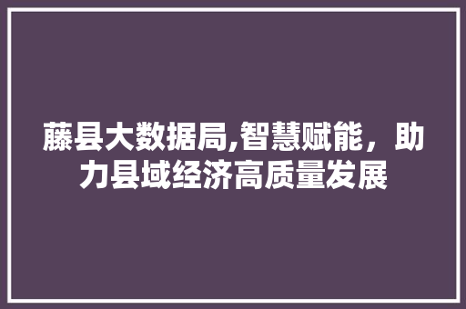 藤县大数据局,智慧赋能，助力县域经济高质量发展