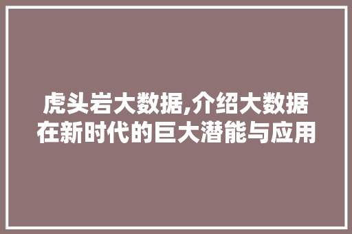 虎头岩大数据,介绍大数据在新时代的巨大潜能与应用