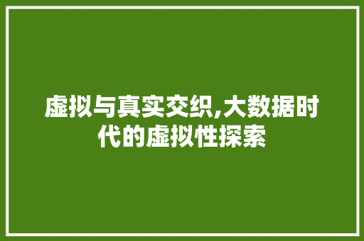 虚拟与真实交织,大数据时代的虚拟性探索