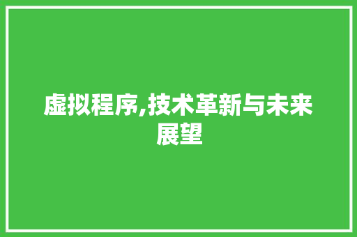 虚拟程序,技术革新与未来展望 网站开发