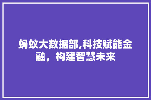 蚂蚁大数据部,科技赋能金融，构建智慧未来