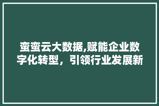 蛮蛮云大数据,赋能企业数字化转型，引领行业发展新潮流