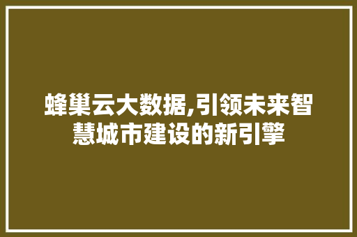 蜂巢云大数据,引领未来智慧城市建设的新引擎