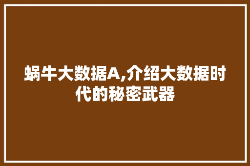 蜗牛大数据A,介绍大数据时代的秘密武器