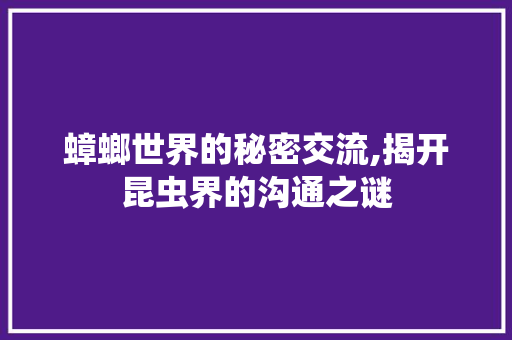 蟑螂世界的秘密交流,揭开昆虫界的沟通之谜 AI技术学习
