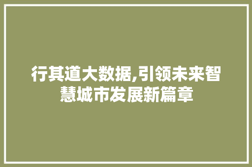 行其道大数据,引领未来智慧城市发展新篇章 网站开发