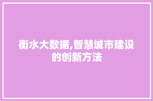 衡水大数据,智慧城市建设的创新方法