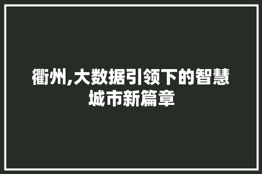 衢州,大数据引领下的智慧城市新篇章 百度算法