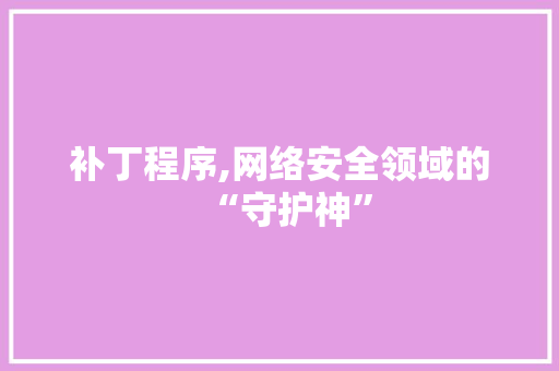 补丁程序,网络安全领域的“守护神”