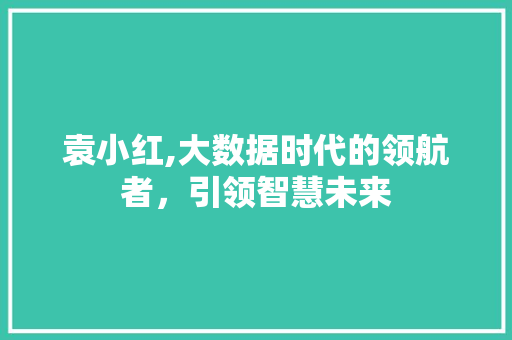 袁小红,大数据时代的领航者，引领智慧未来