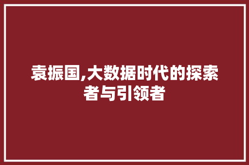 袁振国,大数据时代的探索者与引领者