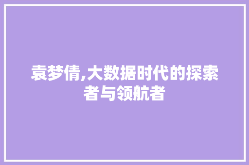 袁梦倩,大数据时代的探索者与领航者