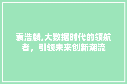袁浩麟,大数据时代的领航者，引领未来创新潮流