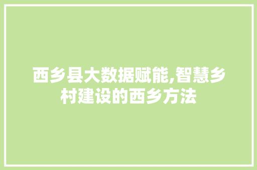 西乡县大数据赋能,智慧乡村建设的西乡方法 小程序开发