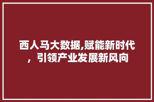 西人马大数据,赋能新时代，引领产业发展新风向 网站优化