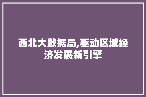 西北大数据局,驱动区域经济发展新引擎 seo技术