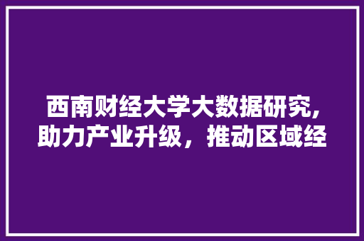 西南财经大学大数据研究,助力产业升级，推动区域经济发展