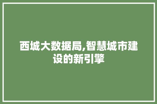西城大数据局,智慧城市建设的新引擎