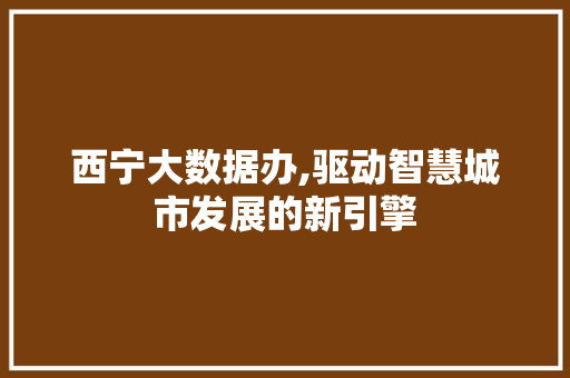 西宁大数据办,驱动智慧城市发展的新引擎