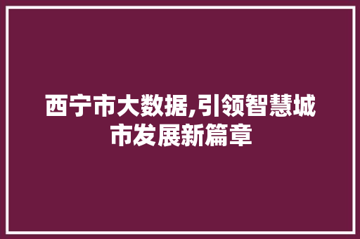 西宁市大数据,引领智慧城市发展新篇章