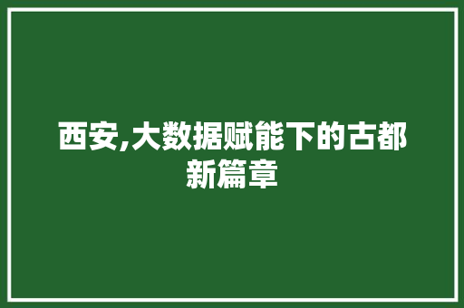 西安,大数据赋能下的古都新篇章