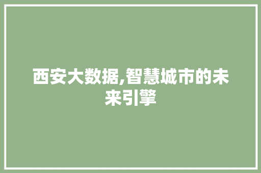 西安大数据,智慧城市的未来引擎