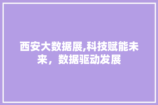 西安大数据展,科技赋能未来，数据驱动发展