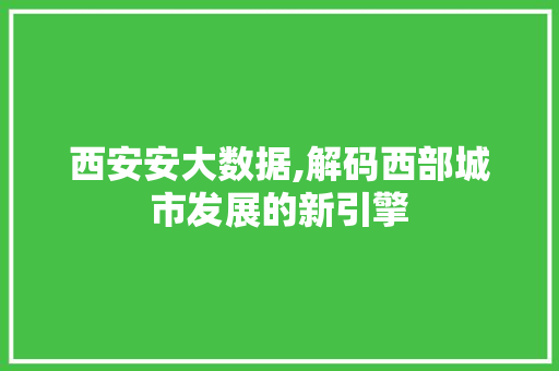 西安安大数据,解码西部城市发展的新引擎