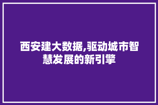 西安建大数据,驱动城市智慧发展的新引擎