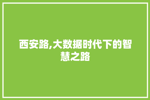 西安路,大数据时代下的智慧之路