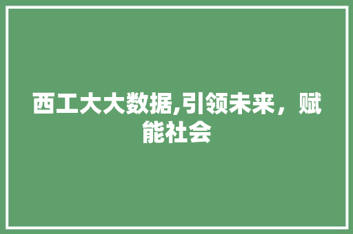 西工大大数据,引领未来，赋能社会