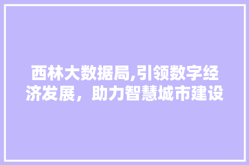 西林大数据局,引领数字经济发展，助力智慧城市建设 AI技术学习