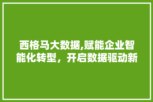 西格马大数据,赋能企业智能化转型，开启数据驱动新篇章