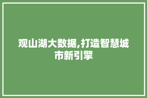 观山湖大数据,打造智慧城市新引擎