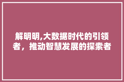 解明明,大数据时代的引领者，推动智慧发展的探索者